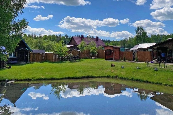 Усадьба (ЛПХ) возле реки Птичь. Купить дом в деревне
